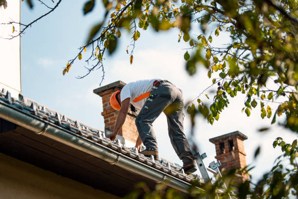 Best Storm Damage Roof Repair  in Marion, WI