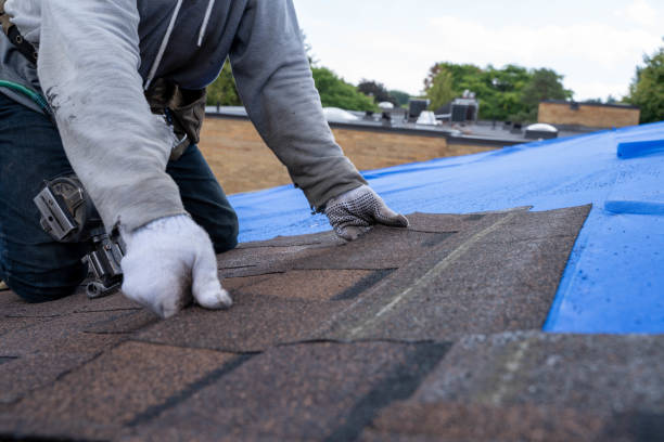 Best Best Roofing Contractors  in Marion, WI
